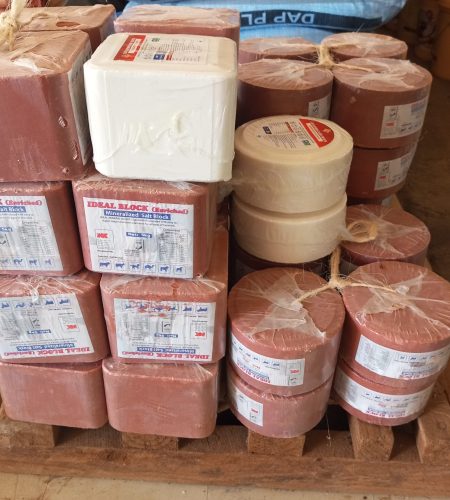 img 20250731 092511 884