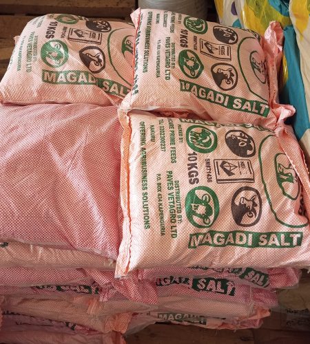 img 20250731 092524 171