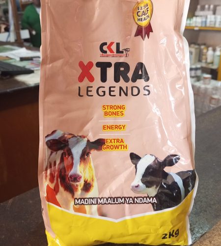 img 20250814 123218 437